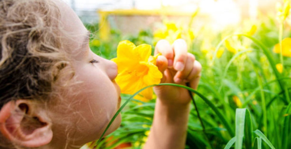 El desarrollo de los sentidos según la edad